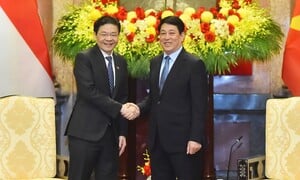 Chủ tịch nước đề nghị Singapore tiếp tục hỗ trợ Việt Nam phát triển nhân lực