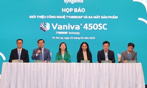 Đã có thuốc đặc trị bệnh vàng lá thối rễ trên cây trồng