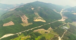 Ngắm tuyến đường nghìn tỷ xuyên rừng vừa khánh thành tại Bình Định