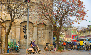 'Góc Paris' giữa lòng Hà Nội tấp nập người check in mùa lộc vừng rụng lá