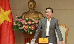 Phó thủ tướng: Tính toán quy hoạch sử dụng đất khi bỏ cấp huyện