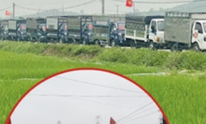 Dùng 15 xe tải đi rước dâu, chú rể ở Nghệ An gây xôn xao 
