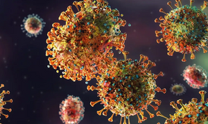 Virus lạ gây triệu chứng ho ra máu, sốt cao ở Nga