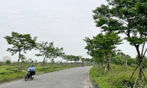 Khởi tố 22 bị can liên quan đến Công ty Cây xanh Công Minh