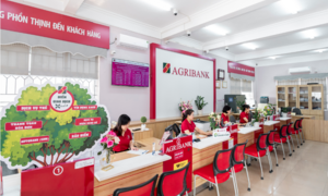 Điểm giao dịch xanh Agribank, hành động vì mục tiêu phát triển bền vững