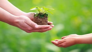 Cần dạy luật nhân quả cho học sinh ngay từ bậc tiểu học