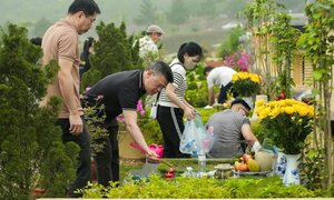 Những lưu ý khi tảo mộ Tết Thanh minh