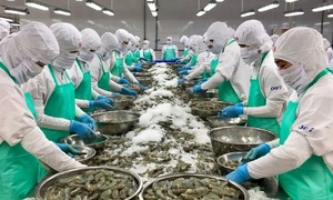 VASEP nói chính sách thuế của Mỹ không rõ ràng, gửi kiến nghị tới Thủ tướng