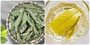 4 nhóm người không nên uống nước lá ổi