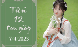Tử vi 12 con giáp hôm nay ngày 7/4/2025: Thìn phát triển, Mùi khó khăn