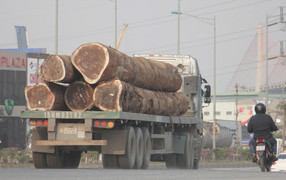 Nhan nhản 'hung thần' chở khối gỗ, ống bê tông chực chờ lăn trúng người đi đường