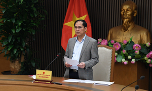 Phó Thủ tướng chủ trì họp Tổ công tác về hợp tác kinh tế, thương mại với Hoa Kỳ
