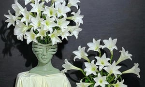 Vì sao nên loại bỏ nhụy hoa loa kèn khi cắm trong nhà?