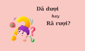 90% người nhầm lẫn: 'Dã dượi' hay 'rã rượi'?