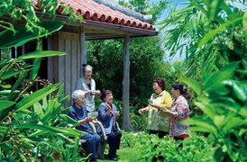 Ngôi làng trường thọ top đầu thế giới, bí quyết từ loại quả quen mặt ở Việt Nam