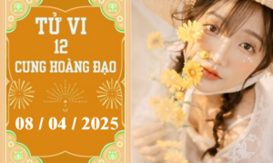 Tử vi 12 cung hoàng đạo ngày 08/04: Song Tử nóng vội, Bảo Bình may mắn 