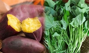 Ăn củ hay lá khoai lang tốt hơn?