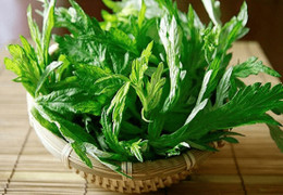 Bài thuốc giúp tăng tuần hoàn máu não từ ngải cứu