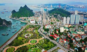 Phó Thủ tướng chỉ đạo tháo gỡ nhiều dự án trọng điểm tại Vân Đồn