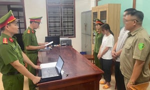Tạm giữ hình sự bảo mẫu đánh đập, nhét thanh nhựa vào miệng trẻ