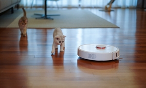 Nên mua robot hút bụi hay máy hút bụi cầm tay?