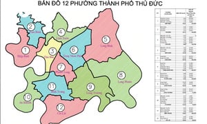 TP Thủ Đức đề xuất sáp nhập 34 phường thành 12 phường mới