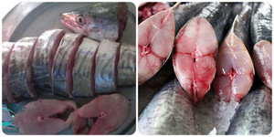 Loại cá giàu Omega-3 hơn cả cá hồi, có nhiều ở Việt Nam