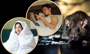 'Sống như con chuột trong cống', lựa chọn của nhiều người trẻ Trung Quốc