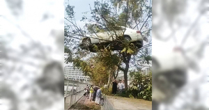 Dàn dựng cảnh ô tô trèo lên ngọn cây, trường dạy lái xe bị phạt