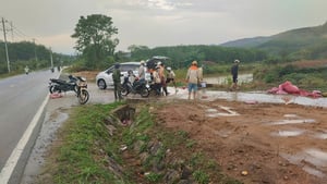 7 người bị sét đánh thương vong khi đang trú mưa