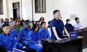 La 'điên' và loạt cựu cán bộ ở Thái Bình lĩnh án vì liên quan sai phạm đất đai