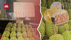 Giá sầu riêng tăng phi mã: Ai là người hưởng lợi thật sự?