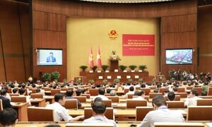 TRỰC TIẾP: Hội nghị toàn quốc quán triệt, triển khai Nghị quyết Trung ương 11