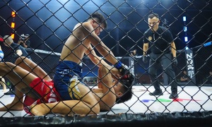 Đánh 54 giây xin thua, kiện tướng kickboxing hẹn cao thủ sambo tái đấu