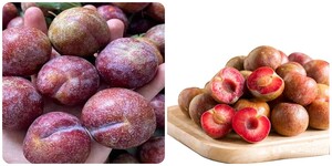 Những người nên hạn chế ăn quả mận