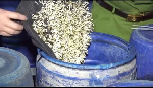 Cận cảnh bên trong xưởng sản xuất 3.500 tấn giá đỗ ngâm hóa chất độc hại