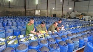 Bắt giam 4 người sản xuất 3.500 tấn giá đỗ ngâm hóa chất độc hại