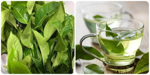 Uống nước chè xanh hàng ngày cần lưu ý những gì?