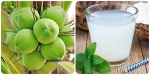 Uống nước dừa buổi sáng có tác dụng gì?