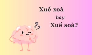 90% người nhầm lẫn: 'Xuề xoà' hay 'xuề soà'?