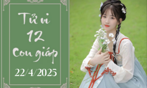 Tử vi 12 con giáp hôm nay ngày 22/4/2025: Mão khó khăn, Thìn chậm trễ