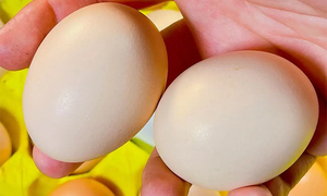 2 cách bảo quản trứng không cần tủ lạnh, để cả tháng vẫn tươi