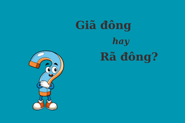 Thử thách Tiếng Việt: 'Giã đông' hay 'rã đông'?