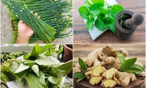 Bài thuốc chữa viêm họng từ cây cỏ quanh nhà