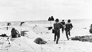 Bản tin Chiến thắng 25/4/1975: Giải phóng đảo Sơn Ca thuộc quần đảo Trường Sa