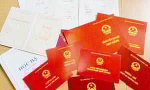 15 giáo viên ở Bắc Giang mua bằng cao đẳng và đại học giả để thi tuyển