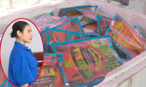 Nữ quái đất Mỏ sản xuất hơn 66.000 gói thuốc diệt cỏ giả bằng hạt nêm