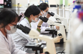 Chuyên gia cao cấp được hưởng chế độ về công vụ tương đương Bộ trưởng