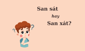 90% người nhầm lẫn: 'San sát' hay 'san xát'?