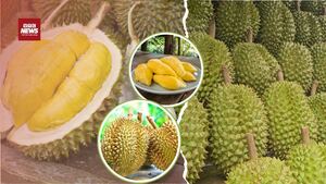 Cuộc đua vào thị trường Trung Quốc: Sầu riêng Việt Nam gặp thách thức gì?
